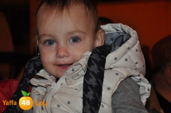 tree light 1208 (83).JPG